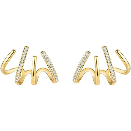 Spiral Hoop Earrings